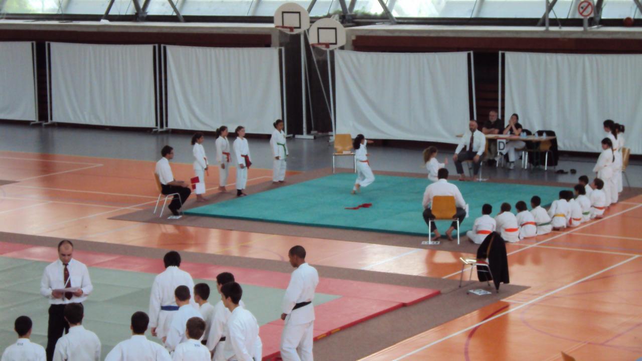 challenge M. Moko 2011,LE Thillay 95